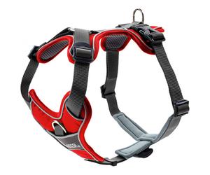 Hunter - Harness Divo - Harnais pour chien - Hals 30-42 cm, Bauch 52-68 cm - Breite 2,0 cm - red / grey