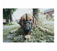 Muselière Gloria Albury Noir 5