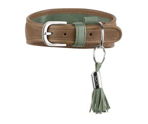 Hunter Portofino Collier pour lévrier en Cuir de qualité supérieure - Forme Anatomique et rembourrée Extra Douce - Doux pour la Fourrure - Fabriqué en Allemagne - Couleur : Taupe/Turquoise - Taille