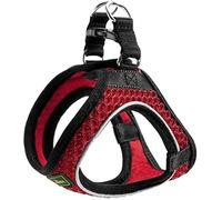 Hunter Pour Chien Rouge