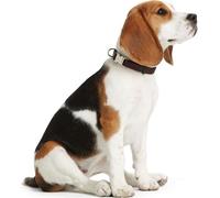 Hunter Vario Basic Alu-Strong Gris Nylon, Extra-Large Plastique Dog Standard Collier