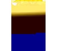 Hunter x Hunter, Vol. 29 - [Version Originale] Yoshihiro Togashi (Auteur)