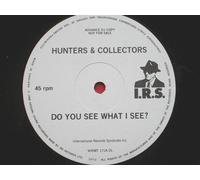 Hunters & Collectors - Hunters & Collectors Do You See What I See 12" IRS WIRMT 171 EX 1990s 12 inch