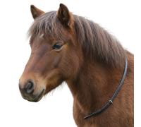 Hunters Saddlery Sangle tour de cou réglable en cuir pour l'équitation, l'équitation, l'équilibre, le poney (noir, poney)