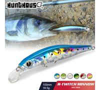 Hunthouse artiste vairon leurre de pêche 105mm 18.5g pêche en mer dur coulant appâts Jerkbait Wobblers Twitch Action pour truite LW401 002