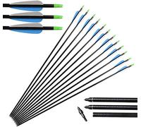 Huntingdoor 12 pièces Flèches de Chasse Tir à l'arc 32 Pouces flèches en Fibre de Verre avec Embouts Amovibles flèches de ciblage pour Arc Classique Arc à Poulies Arc Long du tir d'entrainemen (Bleu)