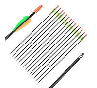 Huntingdoor flèches en Fibre de Verre 26/28 Pouces tir à l'arc flèches de Chasse flèches de ciblage pour d'entrainemen Débutants Cadeaux du tir Sportif (Lot de 12) (Vert 28 Pouces)
