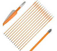 Huntingdoor flèches en Fibre de Verre 26/28 Pouces tir à l'arc flèches de Chasse flèches de ciblage pour d'entrainemen Débutants Cadeaux du tir Sportif (Lot de 12) (Orange 26 Pouces)