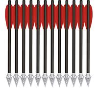 HUNTSPM 6.3" Mini Pistolet Boulons d'arbalète,Flèches d'arbalète en Carbone avec Pointes Broadhead en Acier pour arbalète de précision 50-80lbs Pratiquer la Cible de tir et la Chasse (12Pcs Rouge)