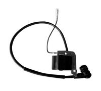 HUOPU Module Bobine d'allumage pour Cifarelli C7 77CC Nuage 5HP Brouillard Blower Pulvérisateur M3VPSA Remplacer # BL77-M88-V75SD