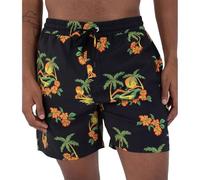 Hurley Boardshort Hommes - Cannoball Volley 17'