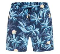 Hurley Cannonball Volley 17´´ Swimming Shorts Bleu S Homme
