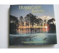 Hurricane On The Bayou