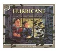 Hurricane Wiesner, David (Auteur)