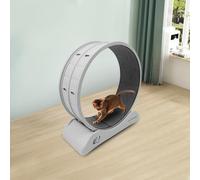 Hurrylying Roue d'exercice pour chat - 31,5 pouces - Jouet d'entraînement d'intérieur pour chats et petits chiens - Jouet pliable avec roulettes silencieuses - Charge maximale de 10 kg - Gris moderne