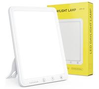 Husgw Lampe de Luminothérapie,10000 Lux Photothérapie, Lumière de Simulation du Jour avec 180° Support Réglable Multi-Angle, 6 Minuteurs, 5 Luminosité, 3 Températures, Lampe à Spectre Complet sans UV