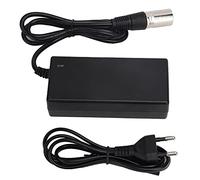 HUSHUI Adaptateur Secteur 29,4 V 2 A, Charge Silencieuse et Sûre, Démarrage Progressif Intelligent, Résistant aux Chutes, avec Prise en Matériau ABS, pour Batteries de Véhicules