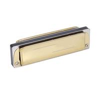 HUSHUI Blues Harmonica Professional Mouthorgan Résine ABS Durable pour les Amateurs de Musique Couvercle en Acier Inoxydable 10 Trous 100 X 27 X 20 Mm (Or)