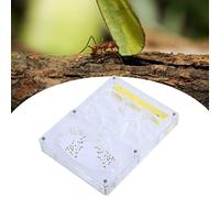 HUSHUI Boîte à Fourmis en Acrylique, Système d'alimentation Transparent pour Insectes, pour Enfants, Science éducative, Nid de Fourmis 3D pour Pépinière