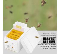 HUSHUI Boîte D'apiculture de Ruche d'abeille de Récolte pour la Construction Naturelle de Nid D'abeilles dans Les Jardins, Matériel D'eps Blanchi à la Chaux 24x14.8x16.5 Cm
