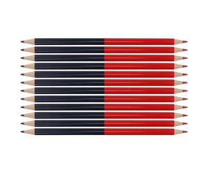 HUSHUI Ensemble de 12 Crayons Effaçables Double Face pour Dessiner et écrire des Devoirs - Bois Composite de qualité Supérieure, Pré-affûtés, Couleurs Vives (Crayons rouges et bleus)