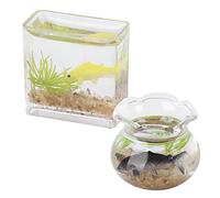 HUSHUI Ensemble de 2 Bols à Poissons Miniatures, Accessoires Réalistes pour Maison de Poupée, Parfaits pour une Décoration à L'échelle 1:12, en Plastique Brillant, Adaptés aux Enfants de 3 Ans et Plus