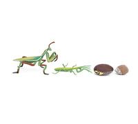 HUSHUI Ensemble de Jouets éducatifs D'insectes de Cycle de Croissance pour Les Enfants 4 X Modèles D'insectes Hautement Simulés, Plastique Non Toxique