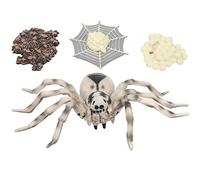 HUSHUI Ensemble de Jouets Modèles D'insectes, Modèles D'insectes de Simulation éducatifs Amusants pour Enfants en Plastique 4 Pièces (araignée Tarentule)