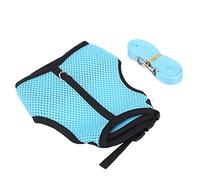 HUSHUI Ensemble de Mini Harnais Réglables pour Animaux de Compagnie, pour Petits Animaux, Laisse Confortable en Souple pour Lapins, Cochons d'Inde et Chinchillas, 1 unité (Bleu Clair)
