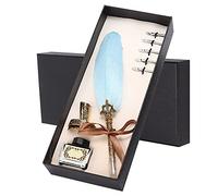 HUSHUI Ensemble de Stylos Plume Costume D'écriture Vintage avec Accessoires élégants pour les Amateurs de Calligraphie, Cadeau Parfait pour les Enseignants et les Aînés, 1 X Stylo, 5 Plumes (Bleu