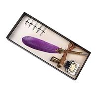 HUSHUI Ensemble de Stylos Plume Costume D'écriture Vintage avec Accessoires élégants pour les Amateurs de Calligraphie, Cadeau Parfait pour les Enseignants et les Aînés, 1 X Stylo, 5 Plumes (Violet