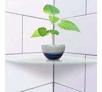 HUSHUI Ensemble D'étagères d'angle Radiales, Ensemble de 2 étagères Flottantes élégantes en Acrylique pour la Décoration Intérieure en Blanc ou Noir (Transparente)