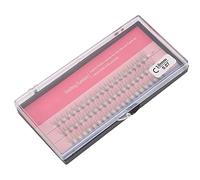 HUSHUI Extensions de Faux Cils Individuels 60 Pièces, Cils en Grappe Naturels de 0,07 Mm, Outil de Greffage pour Applications Cosmétiques Professionnelles, Vison imité (10mm)