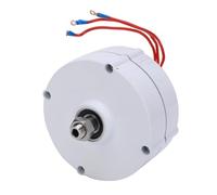HUSHUI Générateur à Aimant Permanent Efficace et Durable, Alimentation électrique AC Triphasée pour Usage Industriel, Terres Rares NdFeB 200w (Sans redresseur 48V)