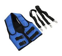 HUSHUI Harnais de Levage pour Chien, écharpe de Support en Tissu Oxford Durable pour Chiens âgés Se Remettant de Blessures, 1 unité (L)