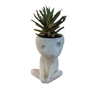 HUSHUI Head Pot de Fleurs, Pot de Fleur de Visage Lumineux, Joli Pot de Fleurs en résine succulente avec Trou de Drainage pour Bureau, Maison, Jardin