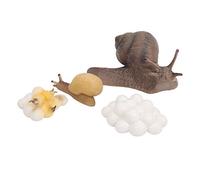 HUSHUI Jouet éducatif de Modèle D'insecte de Cycle de Croissance D'escargot Réaliste pour des Enfants, Simulation de Cycle de Vie en Plastique Durable, Décoration de Jardin Miniature, 4 Unités