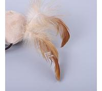 HUSHUI Jouet en Peluche Interactif en Forme de Plume de Chat, pour S'amuser en Intérieur et en Extérieur, pour Chats et Petits Animaux de Compagnie, Multicolore, 1000 Pièces