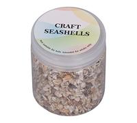 HUSHUI Minuscules Coquillages, Perles en Spirale Non Poreuses pour la Fabrication de Bijoux et L'artisanat, avec Mini Coquillages pour la Décoration Nautique, la Fabrication de