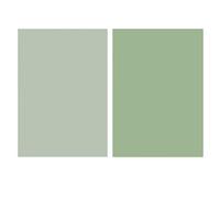 HUSHUI Papier de Fond Morandi épaissi Papier couché Durable pour Studio de Photographie à Domicile 57 X 87 Cm (Vert Clair)