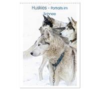 Huskies - Portraits dans la neige, Version française (Calendrier mural 2026 DIN A3 portrait), Calendrier CALVENDO mensuel