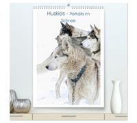 Huskies - Portraits im Schnee (hochwertiger Premium Wandkalender 2026 DIN A2 hoch), Kunstdruck in Hochglanz: Portraits der Hunderasse Husky