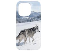 Husky Courir Neige Hiver Montagne Paysage Scène Extérieure Coque pour iPhone 15 Pro