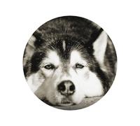 Husky de Sibérie, aimants de réfrigérateur en Acrylique, Autocollants pour Tableau Blanc, pour la décoration de Cuisine et de Meubles,Forme Ronde