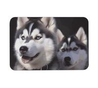 Husky Dog Diatom Tapis de bain absorbant l'humidité et la saleté, paillasson avec dos en caoutchouc antidérapant, tapis de sol pour salle de bain, baignoire, douche, évier