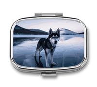 Husky Dog on a Frozen Lake Pilulier à 2 compartiments pour sac à main ou poche Mini pilulier en métal pour médicaments quotidiens pour contenir des vitamines, de l'huile de poisson