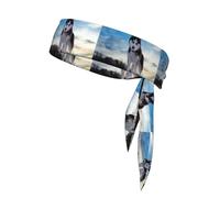 Husky Dogs 1 pièce Bandeau cheveux unisexe Dry Head Tie Sport Band pour basket-ball, course à pied, tennis