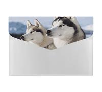 Husky Dogs Organiseur de documents accordéon à 6 poches avec étiquettes, dossiers de documents de voyage, enveloppes en plastique avec fermeture à pression, 33 x 23 cm