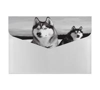 Husky Dogs Snow Accordéon Organiseur de documents 6 poches Dossier extensible avec étiquettes, dossiers de documents de voyage Enveloppes en plastique avec fermeture à pression 33 x 23 cm