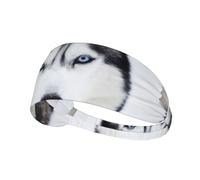 Husky Mignon,Bandeau de Sport Unisexe, Bandeau élastique Multi-usages pour Cheveux